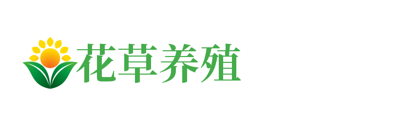 厨具|南通厨具|南通维瑞克维厨具有限公司